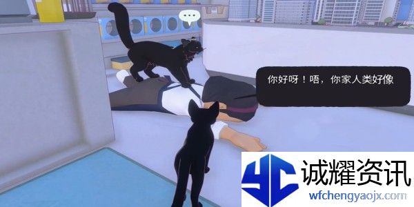 小猫咪大城市踩奶动作怎么获得
