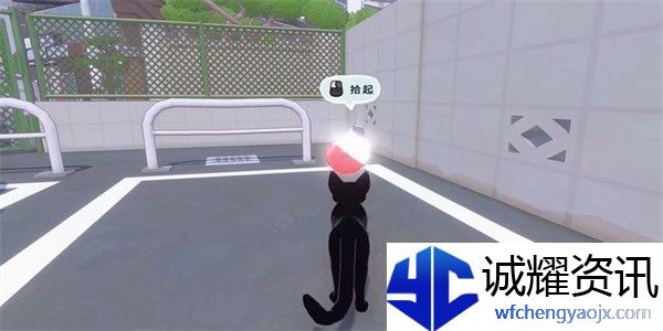 小猫咪大城市苹果帽怎么收集