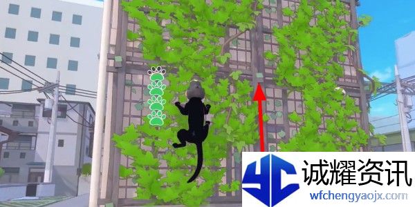小猫咪大城市螃蟹帽怎么收集