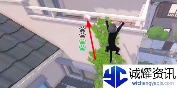 小猫咪大城市螃蟹帽怎么收集