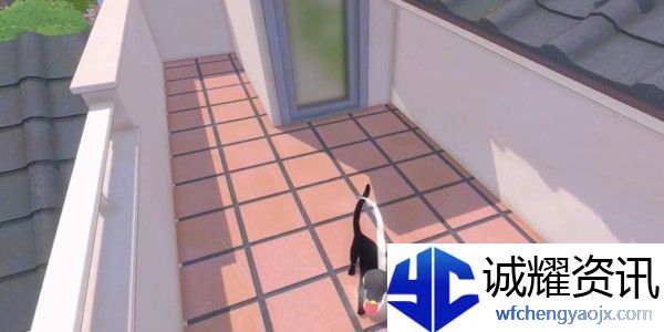 小猫咪大城市螃蟹帽怎么收集