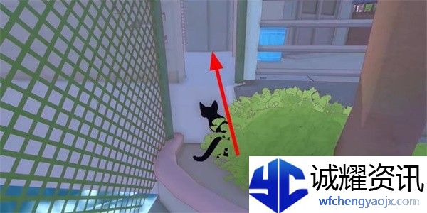 小猫咪大城市鲭鱼帽怎么收集