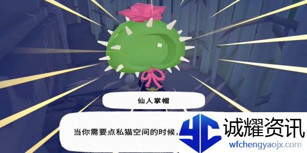小猫咪大城市仙人掌帽怎么收集