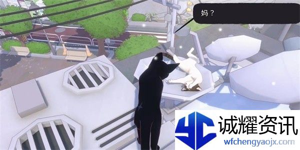小猫咪大城市等待一缕阳光成就攻略