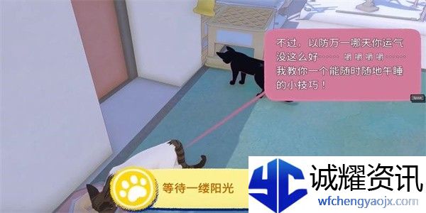 小猫咪大城市等待一缕阳光成就攻略