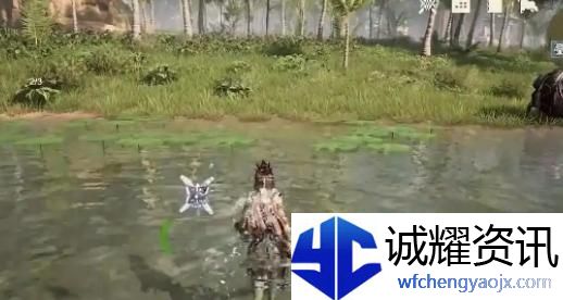 荒野起源稳定的锚点有什么用