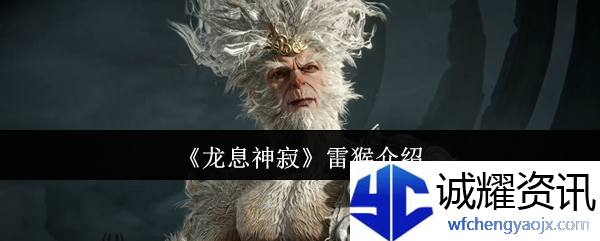 《龙息神寂》雷猴介绍