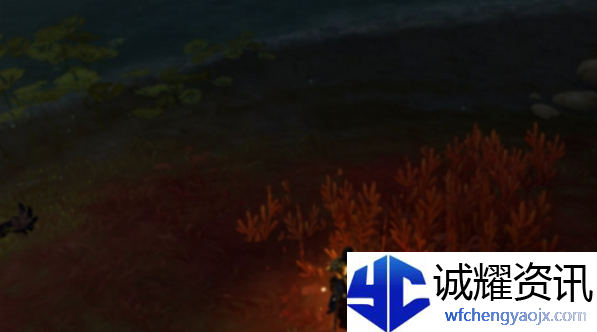 魔兽世界影泽跃蛙宠物怎么获得