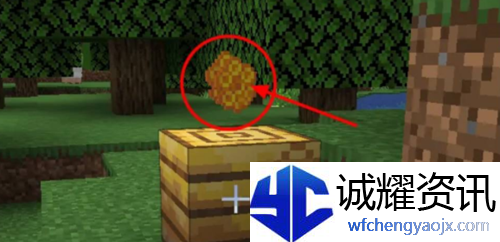 我的世界蜜蜂怎么养