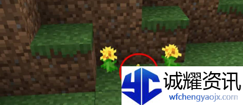 我的世界蜜蜂怎么养
