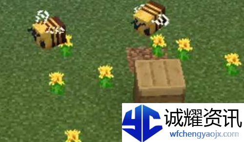 我的世界蜜蜂怎么养