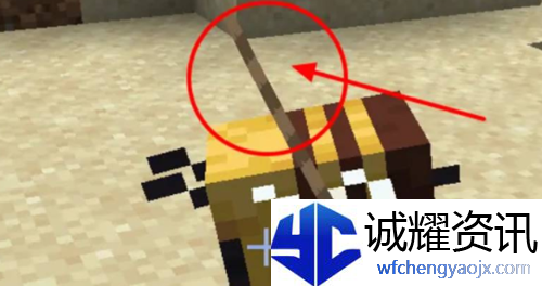 我的世界蜜蜂怎么养