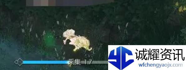 逆水寒手游幽谷寻茵怎么过