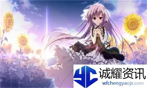  三个师兄轮流上音的小说叫什么 - 网友热议：揭开书籍背后的秘密