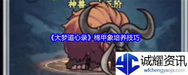 《大梦道心录》棉甲象培养技巧