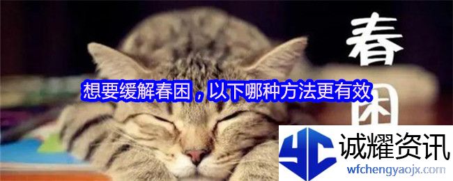 想要缓解春困，以下哪种方法更有效