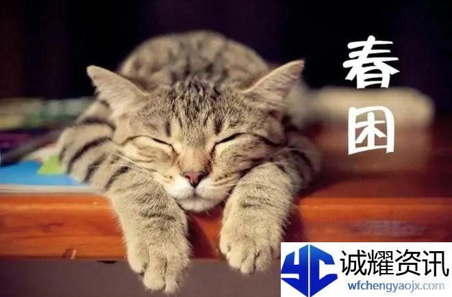 想要缓解春困，以下哪种方法更有效
