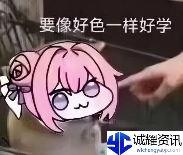 doro粉狗表情包一览