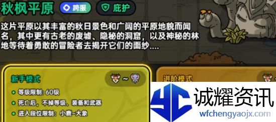 英勇之地狂猪族长在哪