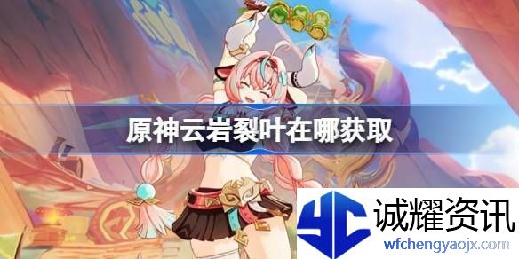 原神云岩裂叶采集路线分析云岩裂叶位置分享