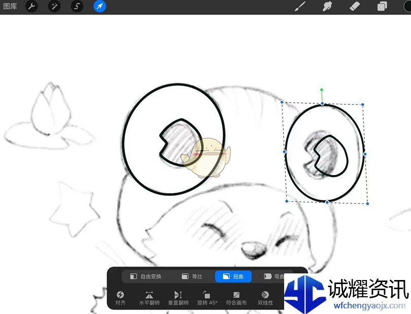 《procreate》复制粘贴教程