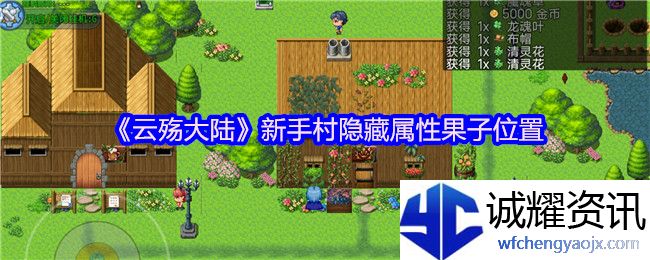 《云殇大陆》新手村隐藏属性果子位置