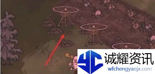 饥荒蜘蛛人怎么种地