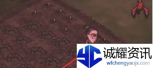 饥荒蜘蛛人怎么种地
