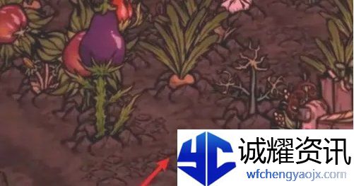 饥荒蜘蛛人怎么种地