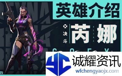 命运冠位指定星英雄评测