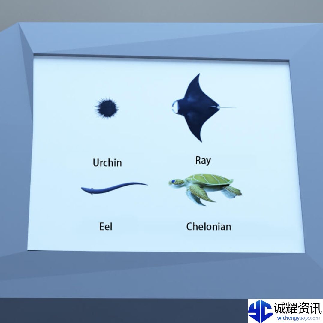 《Escape Room：圣诞节》水族馆通关攻略图文详情