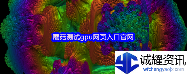 蘑菇测试gpu网页入口官网