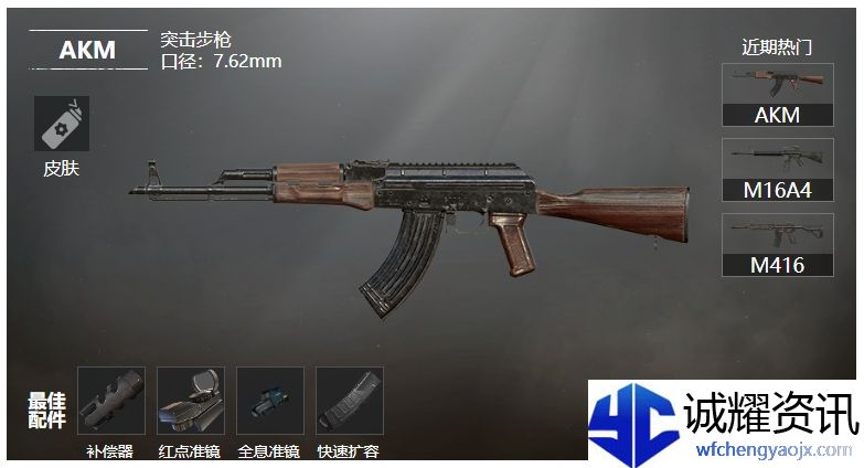 《和平精英》全突击步枪图鉴