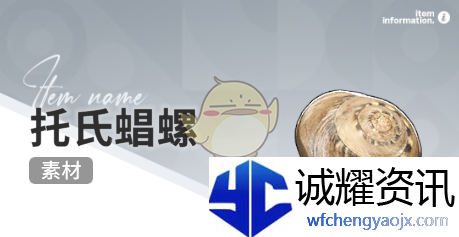 《开放空间》赶海收集物出现时间