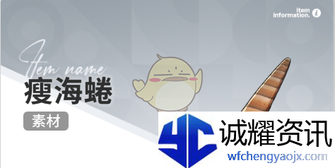 《开放空间》赶海收集物出现时间