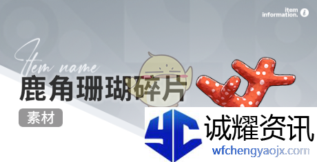 《开放空间》赶海收集物出现时间