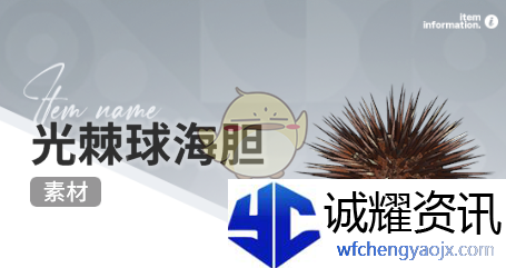 《开放空间》赶海收集物出现时间
