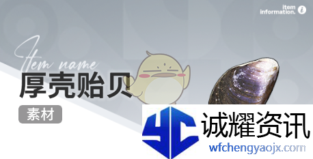 《开放空间》赶海收集物出现时间