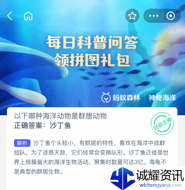 以下哪种海洋动物是群居动物