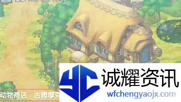 哆啦a梦牧场物语小鸡生病了怎么办