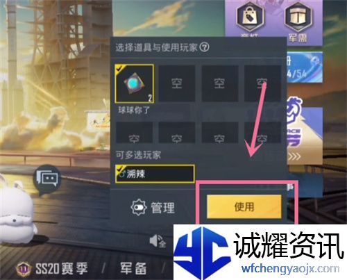 和平精英趣味道具怎么用