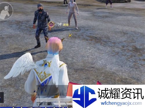 和平精英趣味道具怎么用