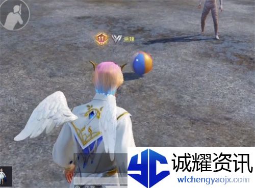和平精英趣味道具怎么用