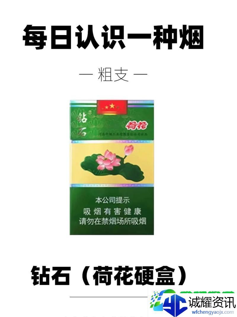 漫步在荷花1777ty的璀璨世界
