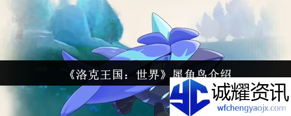 《洛克王国：世界》犀角鸟介绍