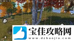 和平精英野餐彩蛋位置一览