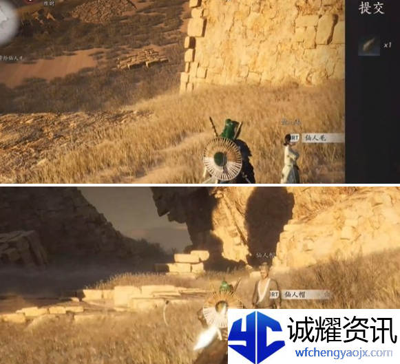 燕云十六声猫瘾患者奇遇怎么做