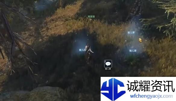 逆水寒手游猪猪迷踪奇遇怎么过