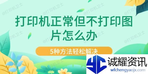 打印机正常但不打印图片怎么办