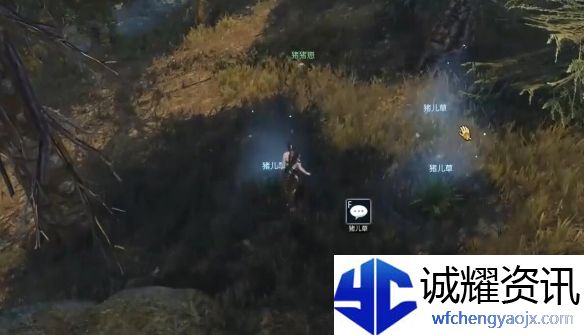 《逆水寒手游》猪猪迷踪奇遇攻略